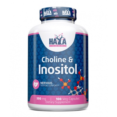  Haya Labs Choline + Inositol 500  100 