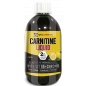 - HX Nutrition Premium Carnitine Liquid 500 